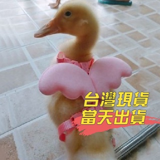 【嚴選商品 優先出貨】遛鴨子繩胸背帶式牽引繩子小雞繩寵物鵝用品夏季網紅柯爾鴨牽引繩