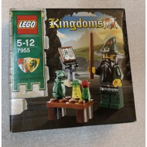 LEGO 樂高 7955 Kingdoms 巫師 綠龍國 (全新)