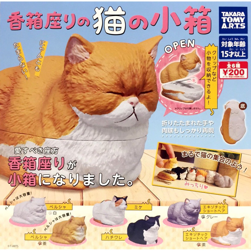 全新現貨t Arts 扭蛋香箱座姿貓小物盒香箱座猫一套6款takara Tomy 超商付款免訂金 蝦皮購物