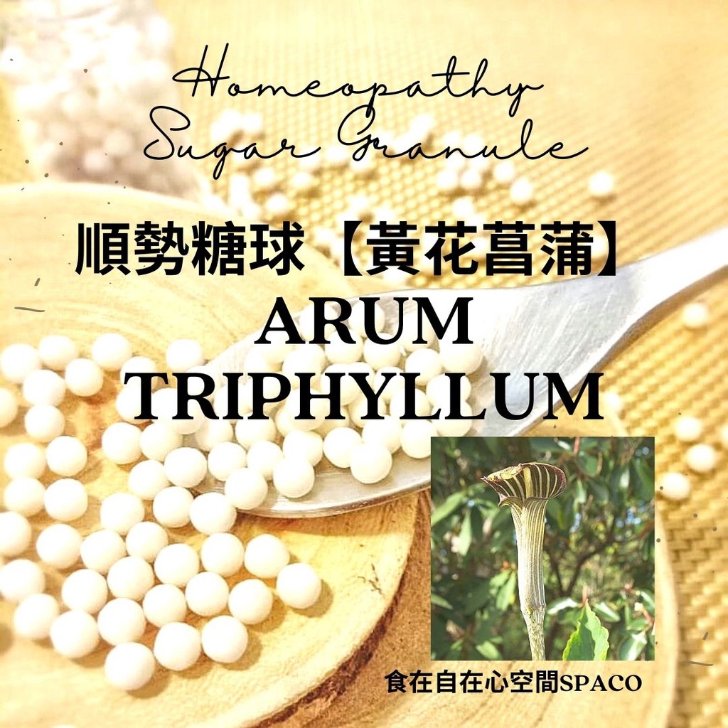 順勢糖球【黃花菖蒲●Arum Triphyllum】Homeopathic Granule 9克 食在自在心空間