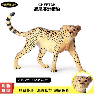 （高品質畫工）模擬 非洲 獵豹 花豹 金錢豹 豹 美洲豹 動物模型 野生動物 兒童玩具 益智 公仔 SPG