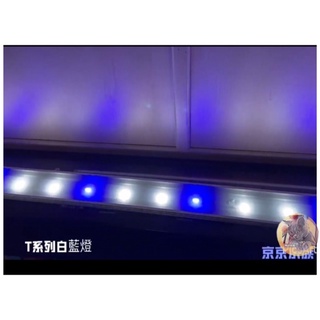 💓UP雅柏 T系列 4尺 小跨燈 增艷燈 太陽燈 白藍燈 伸縮腳架 120cm LED水族燈 藍白燈 京京水族