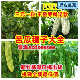 🔥🔥苦瓜種子大全 最低價苦瓜 菜園種植本地苦瓜 涼瓜苦瓜 蘋果苦瓜 藍色山大白苦瓜 黑貴人苦瓜 金鈴子苦瓜 四季種植