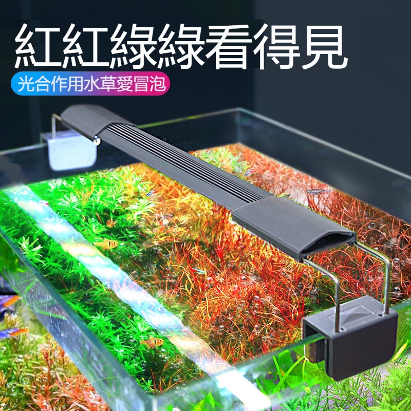 臺灣現貨疯狂水草鱼缸灯水草灯led全光谱照明灯专用观赏灯防水草缸爆藻灯 蝦皮購物