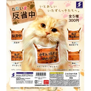 反省貓咪 優惠推薦 21年6月 蝦皮購物台灣