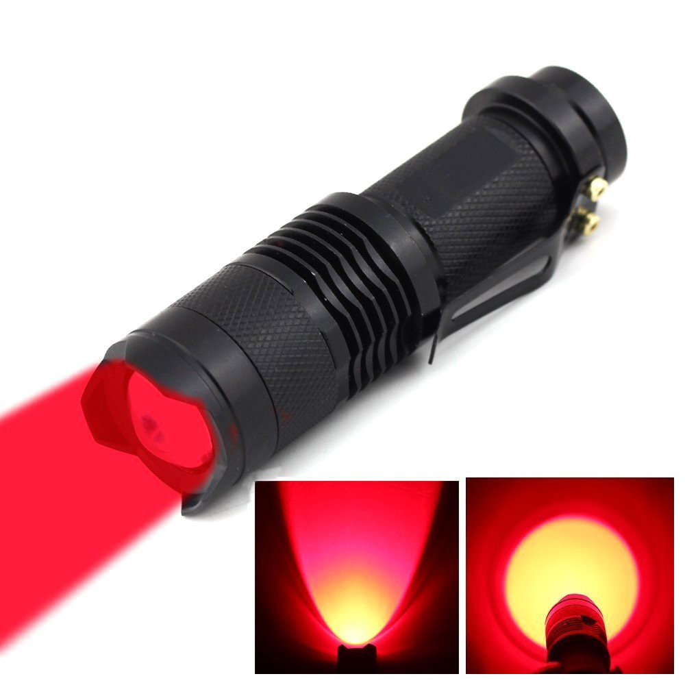 3W變焦紅光LED手電筒天文夜視AA五號電池夜間攝影養蜂紅光手電筒
