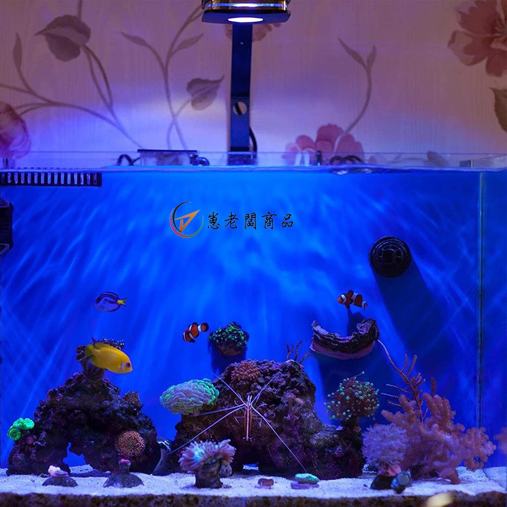 日本原裝進口lominieled燈4頻調光30w燈wifi控制定時器皮克斯30淡水海水珊瑚礁和海水魚 蝦皮購物