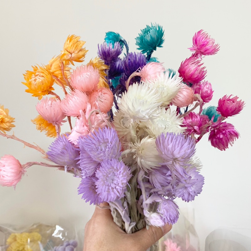 花開四月 乾燥花不凋花旱雪蓮花束胸花婚禮飾品 蝦皮購物