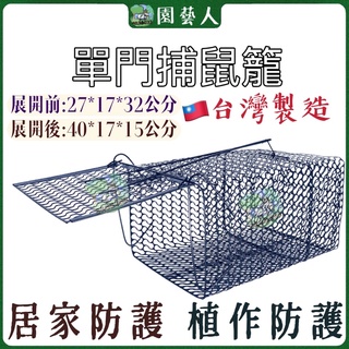 🌿園藝人🌿單門老鼠籠 黑 40*27*15cm 捕鼠器 捕鼠籠 捕鼠瓶