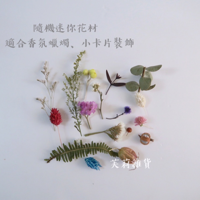 乾燥花卡片材料包 Ptt Dcard討論與高評價商品 21年11月 飛比價格