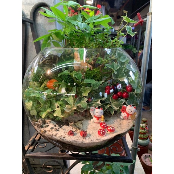 12村玻璃球造型組合盆栽