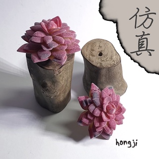 模擬多肉 微景觀 P21 假多肉植物 多肉 辦公室小物 療癒紓壓生日禮物拍照居家裝飾咖啡屋商店擺飾迷你木頭底座盆栽