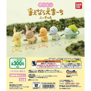 🌸零售🌸~🇯🇵BANDAI【精靈寶可夢 排隊公仔】神奇寶貝 皮卡丘 伊布 妙蛙種子 扭蛋 轉蛋 擺飾