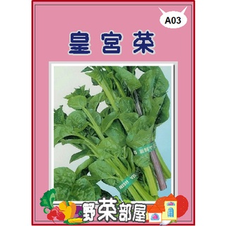 【萌田種子~】A03 皇宮菜(大葉品種)種子90公克(約2250粒) , 很好種植的蔬菜~