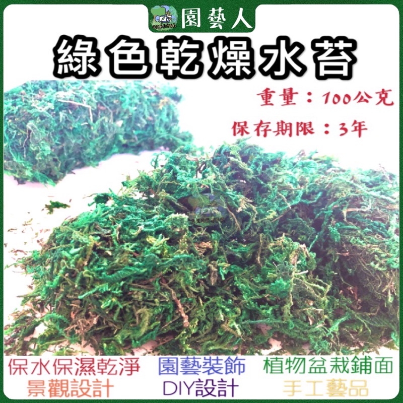 綠色乾燥水苔100公克 蝦皮購物