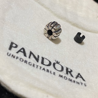 Pandora卡扣墜飾～