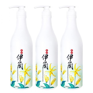 MIAU魅惑伊蘭香氛保濕控油抗屑3效洗髮精 容量：1000ml-限時特價