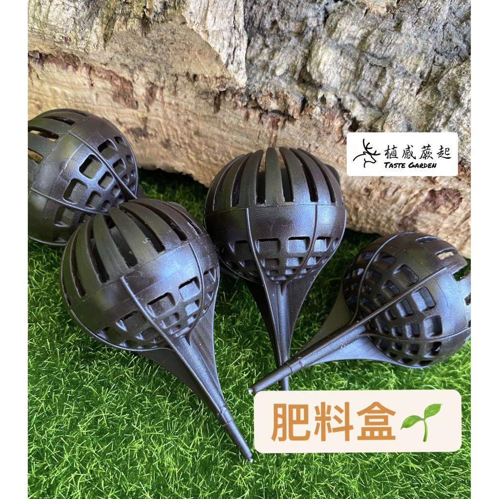 植感蕨起 肥料盒鹿角蕨蘭花上板盆栽蕨類多肉玉肥盒球型肥料盒多爪型日本 蝦皮購物