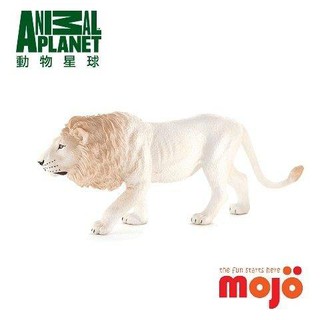 動物模型 mojo fun 公白獅子 獅
