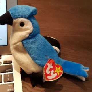 美國 ty toy ~ 鸚鵡 beanie baby 1997年3月12日生日