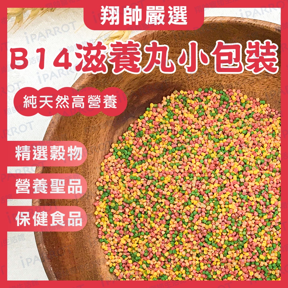 比利時凡賽爾 | Nutribird B14滋養丸 | 小包裝 | 鸚鵡飼料 |中、小型鸚鵡|歐樂斯 |翔帥寵物生活館