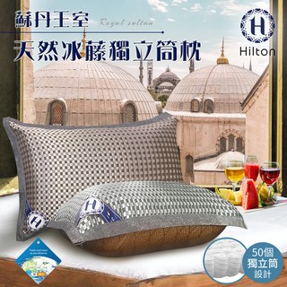 Hilton 希爾頓 蘇丹王室頂級格紋藤編獨立筒枕兩色任選藤編枕冰涼透氣枕透氣枕舒適枕B0111-A&B 現貨 廠商直送