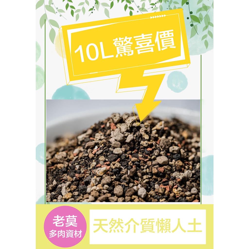 老莫資材商城 驚喜包 1單限量+1 宅配可+5 ㊣特調懶人版萬用多肉植物專用土(懶人版):多肉土 夭受透氣版。驚喜價～！