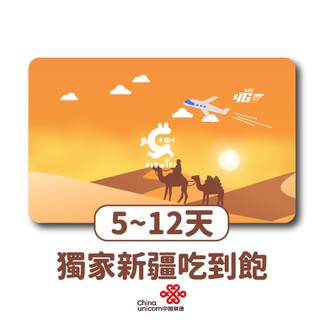 新疆 超高流量吃到飽4G網路無限 網卡 SIM卡 WiFi卡 (5~20天)
