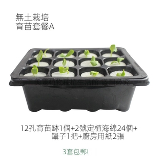 家庭水培葉菜果蔬花卉專用工具齊全3套 無土栽培育苗套餐A 水耕箱 育苗水培盤水培箱