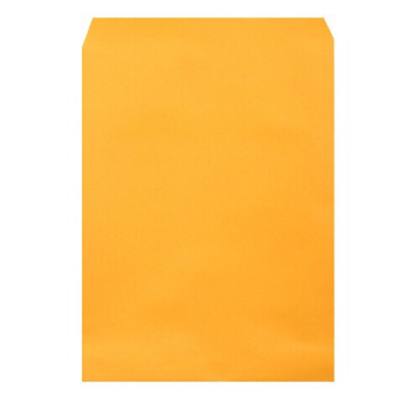 9k（B5） 黃牛皮信封 通常文青類型青少年都用這款寫情書 徐志摩也愛用 .標準信封.公文封.黃牛皮紙袋