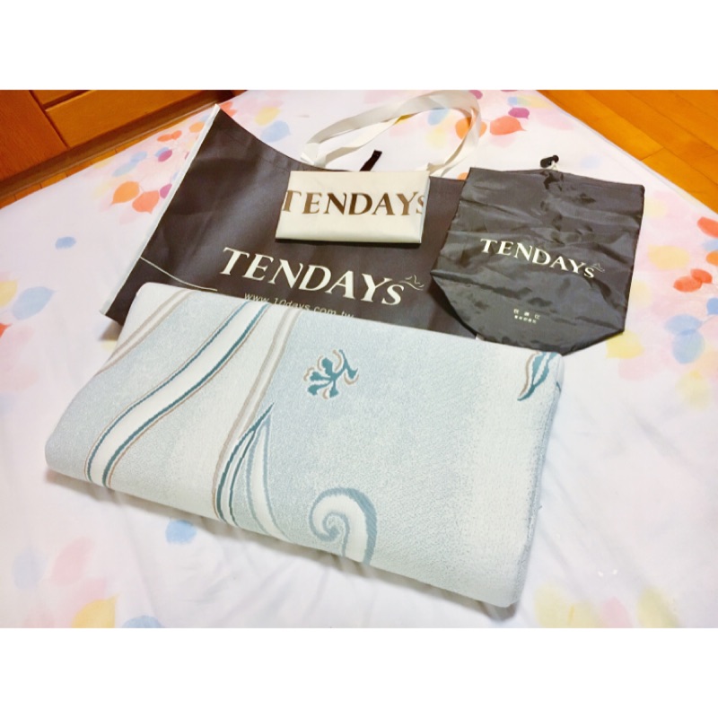 TENDAYs 恬褋仕 量身舒壓枕，附提袋、保潔墊與外出包