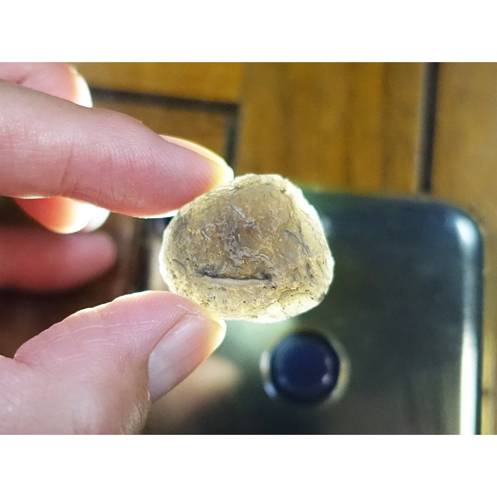 §能量礦石§ 亞利桑那隕石Saffordite Arizona天狼星隕石 重13.14g