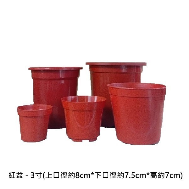 塑膠紅盆 -  3寸