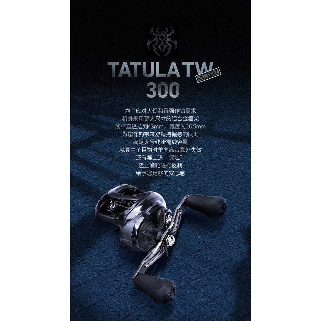 『詹姆士路亞』現貨 2021 Daiwa Tatula 300 大蜘蛛 小烏龜 大龜 雷強捲 魚虎 海水大根 巨物對應