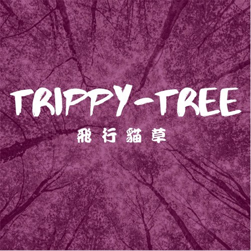 現貨 純天然放鬆草本薰香 蝦皮購物