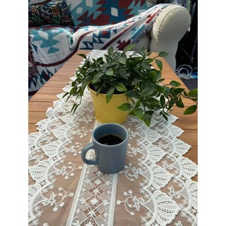 尼加拉瓜 花語 LOWDEN精品咖啡豆 半磅.中焙.風味迷人 MIT LOWDEN