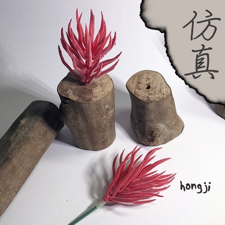 多肉 模擬多肉 微景觀 P16 假多肉植物 辦公室小物 療癒紓壓生日禮物拍照道具居家裝飾咖啡屋商店擺飾迷你木頭底座盆栽