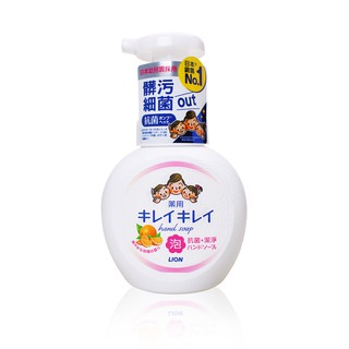 日本獅王LION 趣淨洗手慕斯250ml 清爽柑橘 (補充包) 【DDBS】