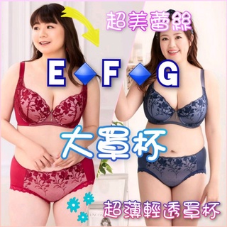 莎薇🎀 大罩杯E F G 超薄QQ泡棉罩杯 輕透涼AB4019 AS2519 L~3L