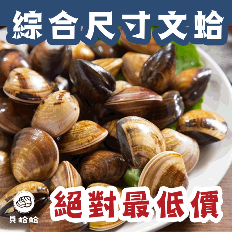 貝蛤蛤 綜合規格尺寸文蛤 蛤蜊 蛤犡 批發 零售 直營銷售商 火鍋店 吃到飽 市場攤販歡迎洽詢 蝦皮購物