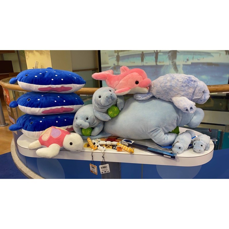 客訂 預購 小艾代購 沖繩 美麗海 日本 水族館 鯨鯊 海豚 花園鰻 海龜 海牛 魟魚 娃娃 吊飾