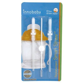 美國 Innobaby 雙層不銹鋼雙握把吸管杯300ml 吸管學習杯 - 吸管組