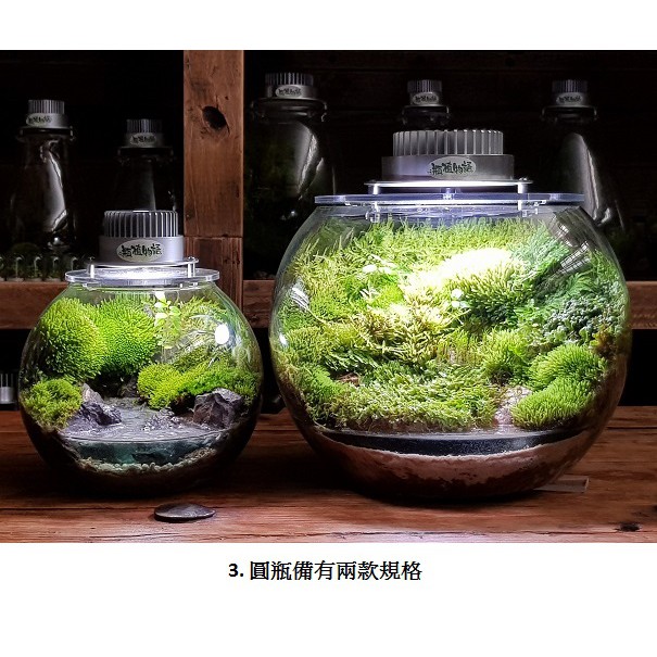 28 1附灯苔蘚山林微境景觀瓶空瓶花盆花器diy苔蘚微景觀生態瓶小品盆栽迷你盆栽 蝦皮購物