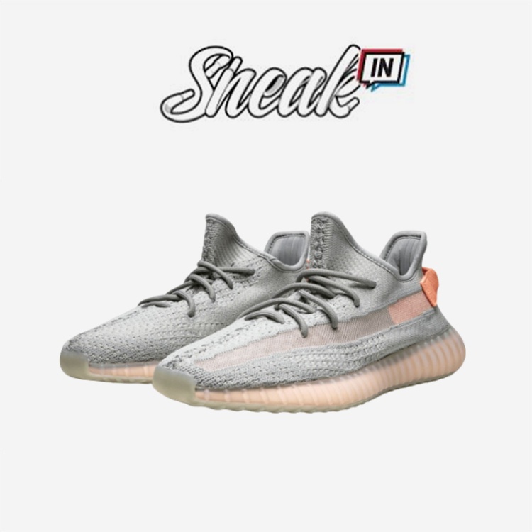 支持驗貨 Adidas Yeezy Boost 350 V2 True Form 男鞋 女鞋 愛迪達 EG7492