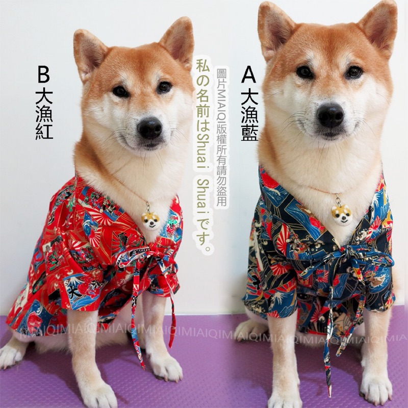 現貨 和風純棉柴犬系列和服 共9款 柴犬和服柴犬衣服寵物衣服 蝦皮購物