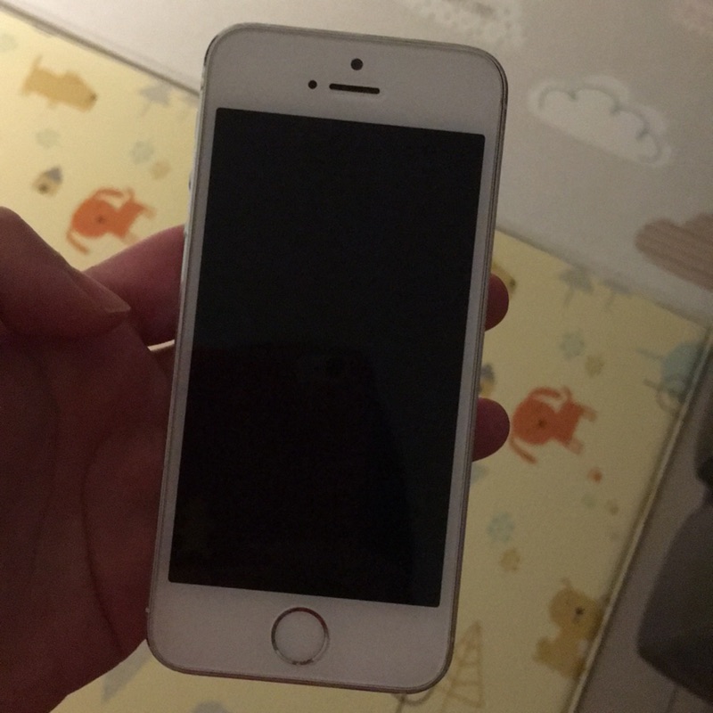 iPhone 5s 32g