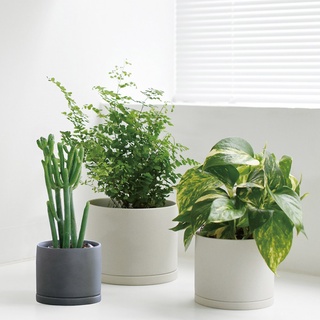 【日本KINTO】PLANT POT 191陶瓷花盆8.5cm/10.5cm/13.5cm-共2色《WUZ屋子》