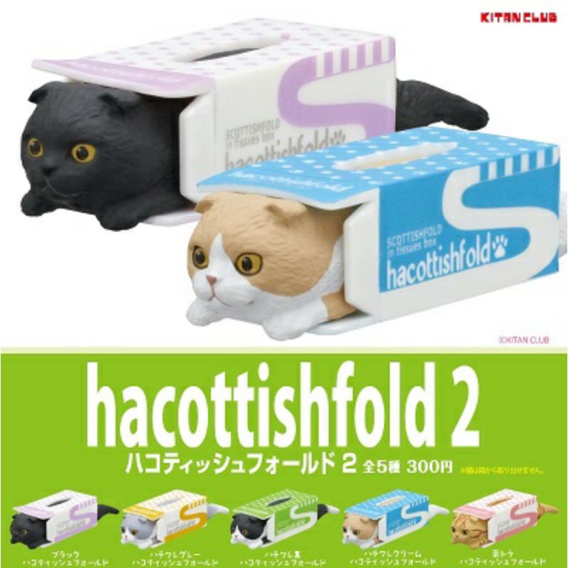 紙盒貓 疊疊樂 扭蛋 摺耳貓 箱貓 衛生紙盒貓 面紙盒貓