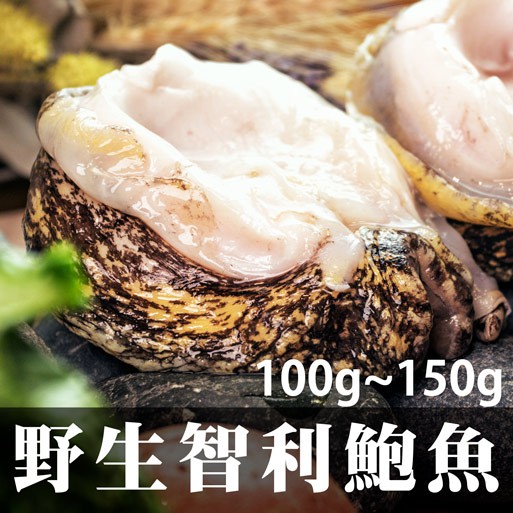 南海豐【野生智利鮑魚-中】100g~150g/顆  肉質Q彈甜美，火烤煮湯粥都美味，智利當地限期開採上岸去殼活急凍