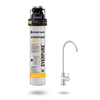 愛惠浦 銀離子0.2微米家用型淨水器 PurVive-4C2 (大巨光)